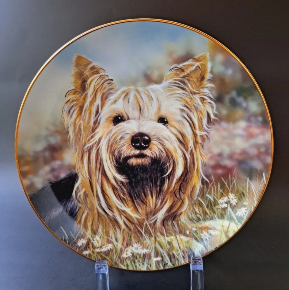 Danbury Mint Yorkshire Terriers Daisy Collection by Paul Doyle is an 8" Plate - Picture 2 of 4